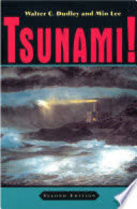 Tsunami!